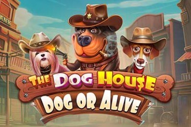 Thedoghousedogoralive играть в КТО Казино